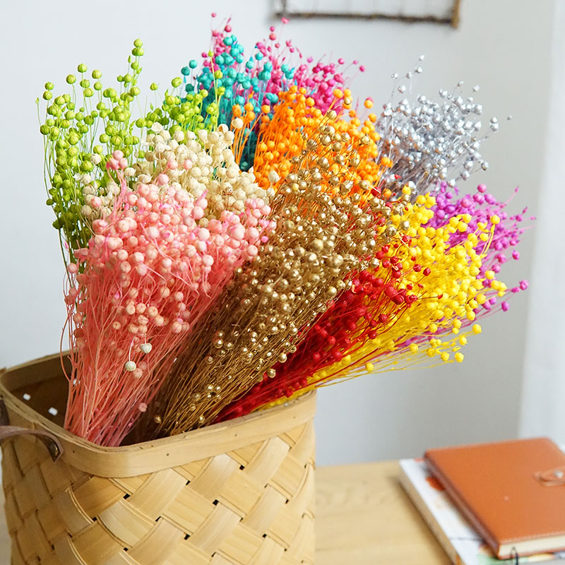 Dried Flower Pressed - 35g/保存されたオルモシア・ホシエ天然本物の花カラフルな乾燥リッチビーンズ花束用ホームデコレーションDIY素材