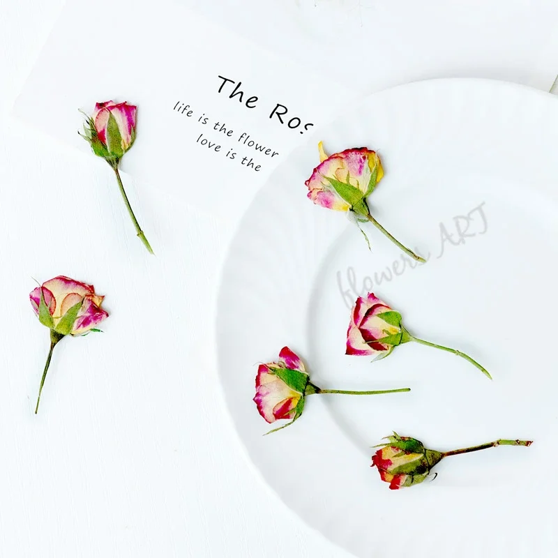 Dried Flower Pressed - 押し花の花びら ドライフラワー DIY 植物フォトフレーム 手作りエポキシアロマセラピーブックマーク ドリップグルー電話ケース、12個入り