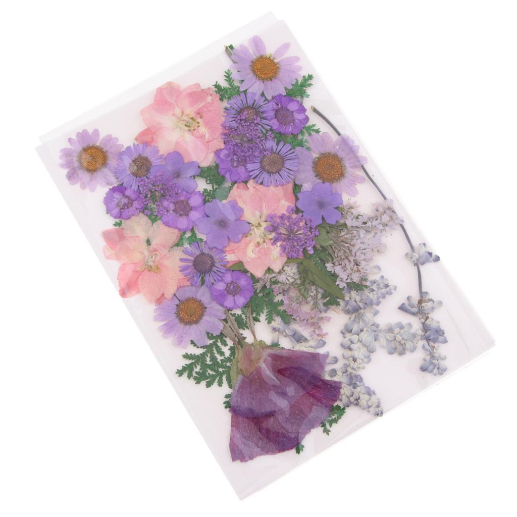 Dried Flower Pressed - 天然押し花ミックスリーフ、本物のクラフト用品、DIYスクラップブッキングやカード作成用の装飾花