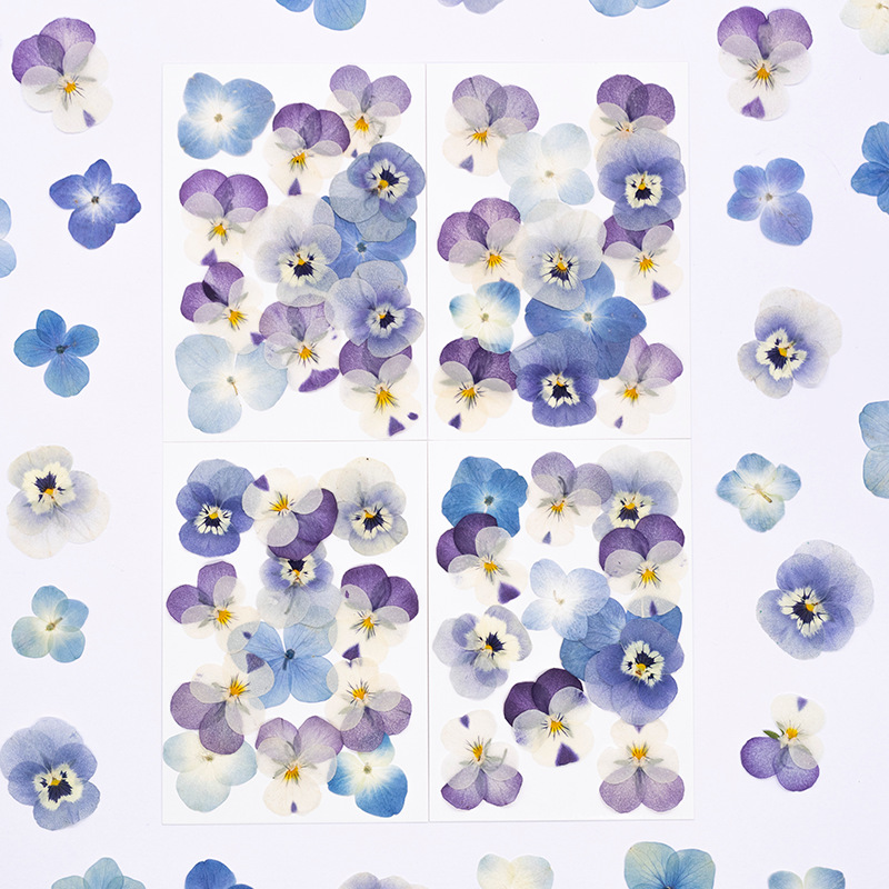 Dried Flower Pressed - 12個入り、本物のヴィオラ・コルヌータ押し花、天然花びら、DIYフェイスメイク、樹脂ブックマーク、キャンドルクラフト、デコレーション用品