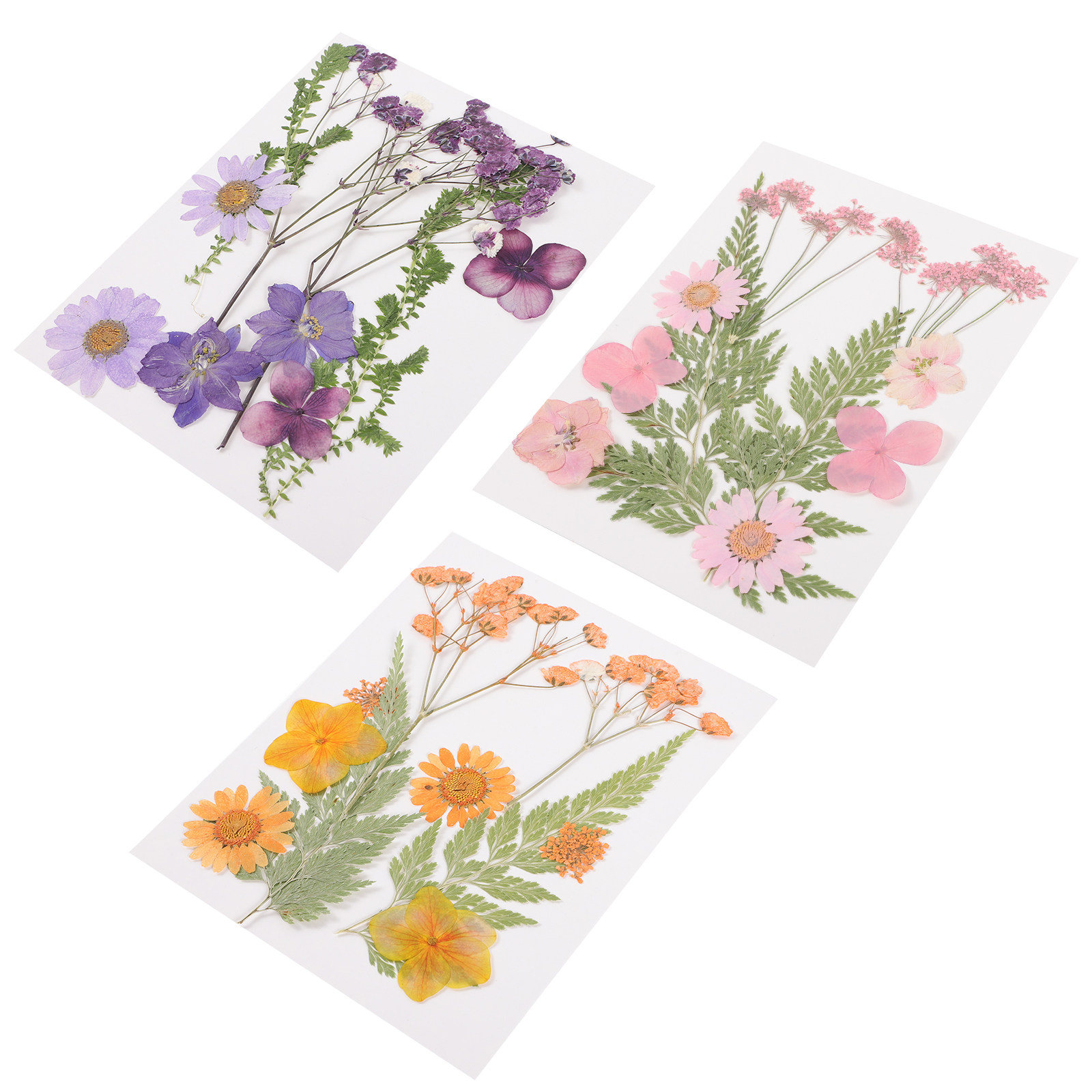 Dried Flower Pressed - ドライフラワー装飾材料 3 セット樹脂エンボス加工カラフルな花柄プレス工芸品 DIY アクセサリーボウルフィラーネイルアート
