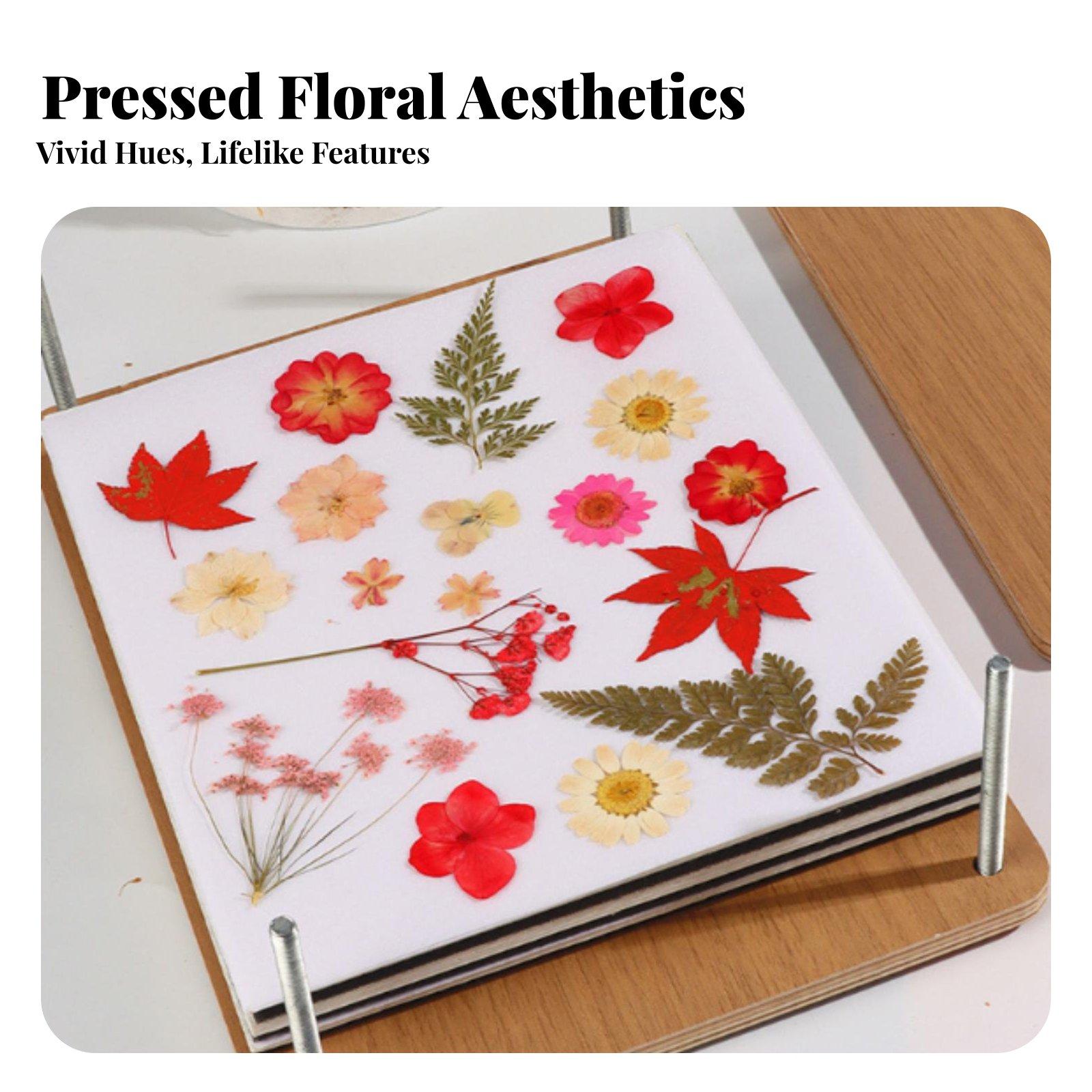 多層式植物花押しキット、葉押し木製葉材プレスツールセット、D - Dried Flower Pressed のレビューと価格