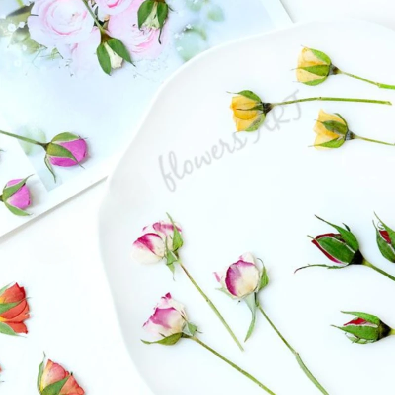 押し花の花びら ドライフラワー DIY 植物フォトフレーム  - Dried Flower Pressed のレビューと価格
