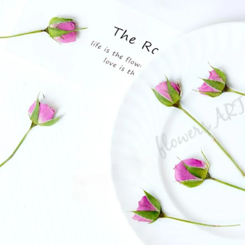 押し花の花びら ドライフラワー DIY 植物フォトフレーム  - Dried Flower Pressed のレビューと価格