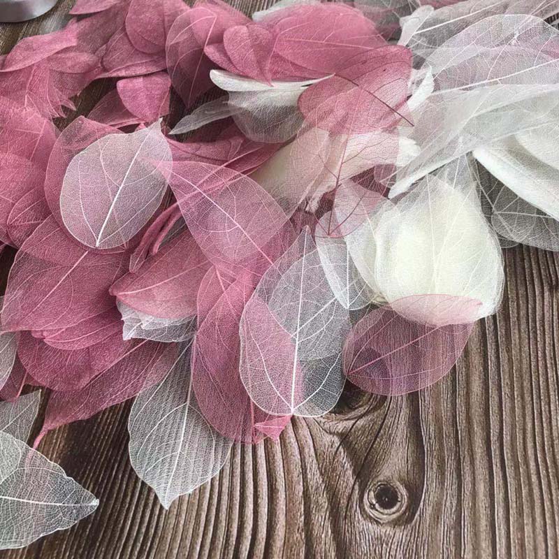 5~9CM*2~3.5CM、100個/セット、本物の乾燥天然 - Dried Flower Pressed のレビューと価格