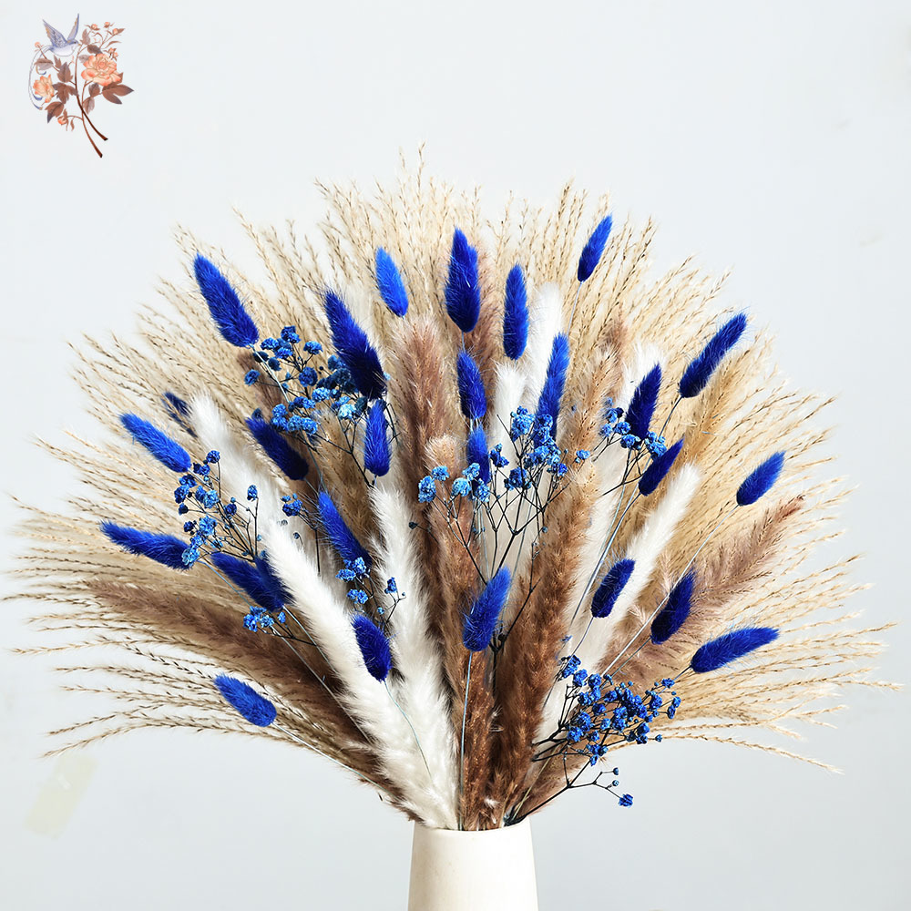 70 茎ブルーふわふわウサギの尻尾ススキの束ドライフラワーブ - Dried Flower Pressed のレビューと価格