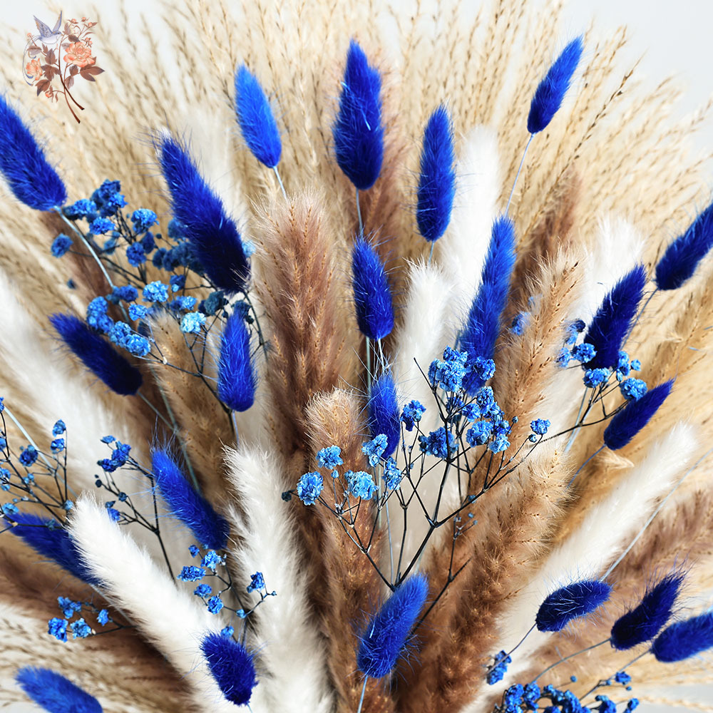 70 茎ブルーふわふわウサギの尻尾ススキの束ドライフラワーブ - Dried Flower Pressed のレビューと価格