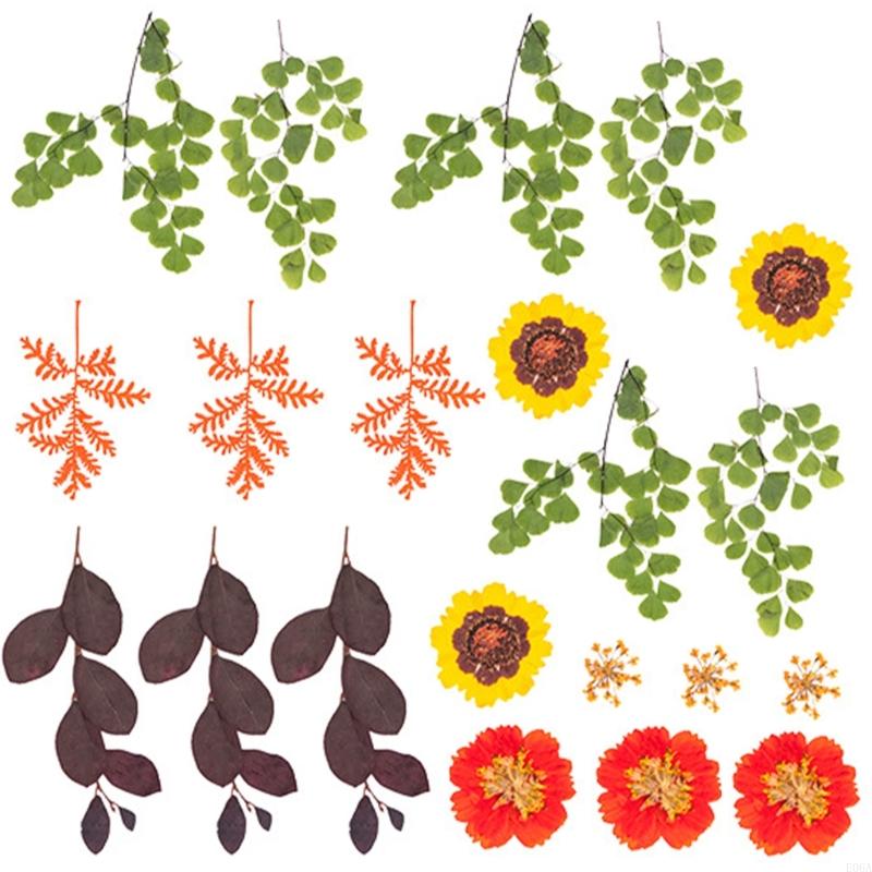 レジンモールド用ドライ押し花 スクラップブッキング ジュエリ - Dried Flower Pressed のレビューと価格