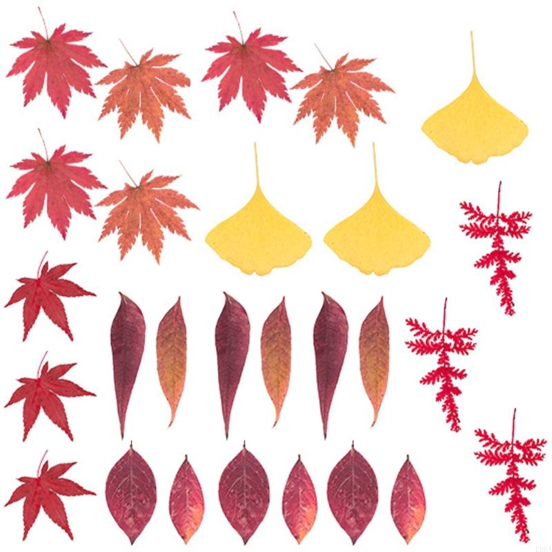 レジンモールド用ドライ押し花 スクラップブッキング ジュエリ - Dried Flower Pressed のレビューと価格