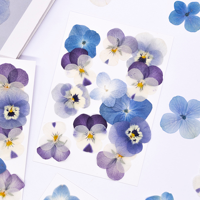 12個入り、本物のヴィオラ・コルヌータ押し花、天然花びら、D - Dried Flower Pressed のレビューと価格