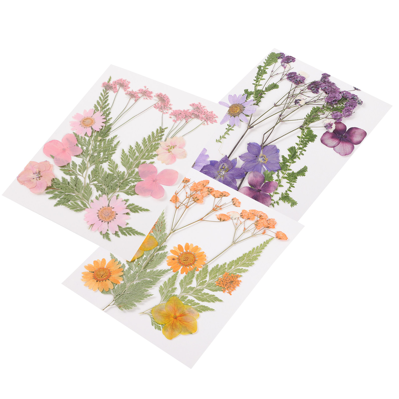 ドライフラワー装飾材料 3 セット樹脂エンボス加工カラフルな - Dried Flower Pressed のレビューと価格
